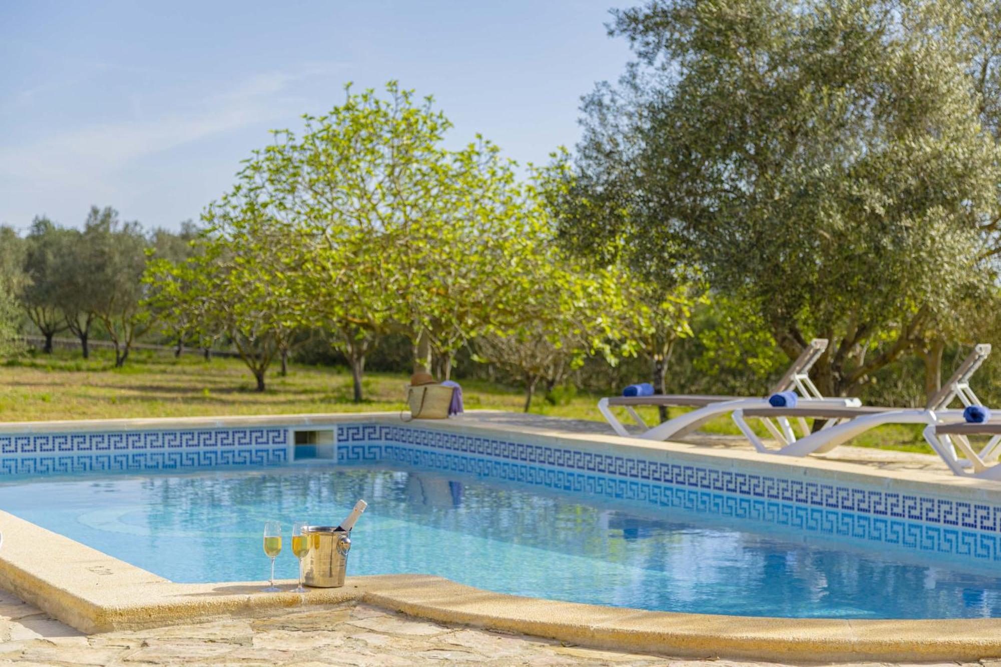 Xamanto Alcudia (Mallorca)