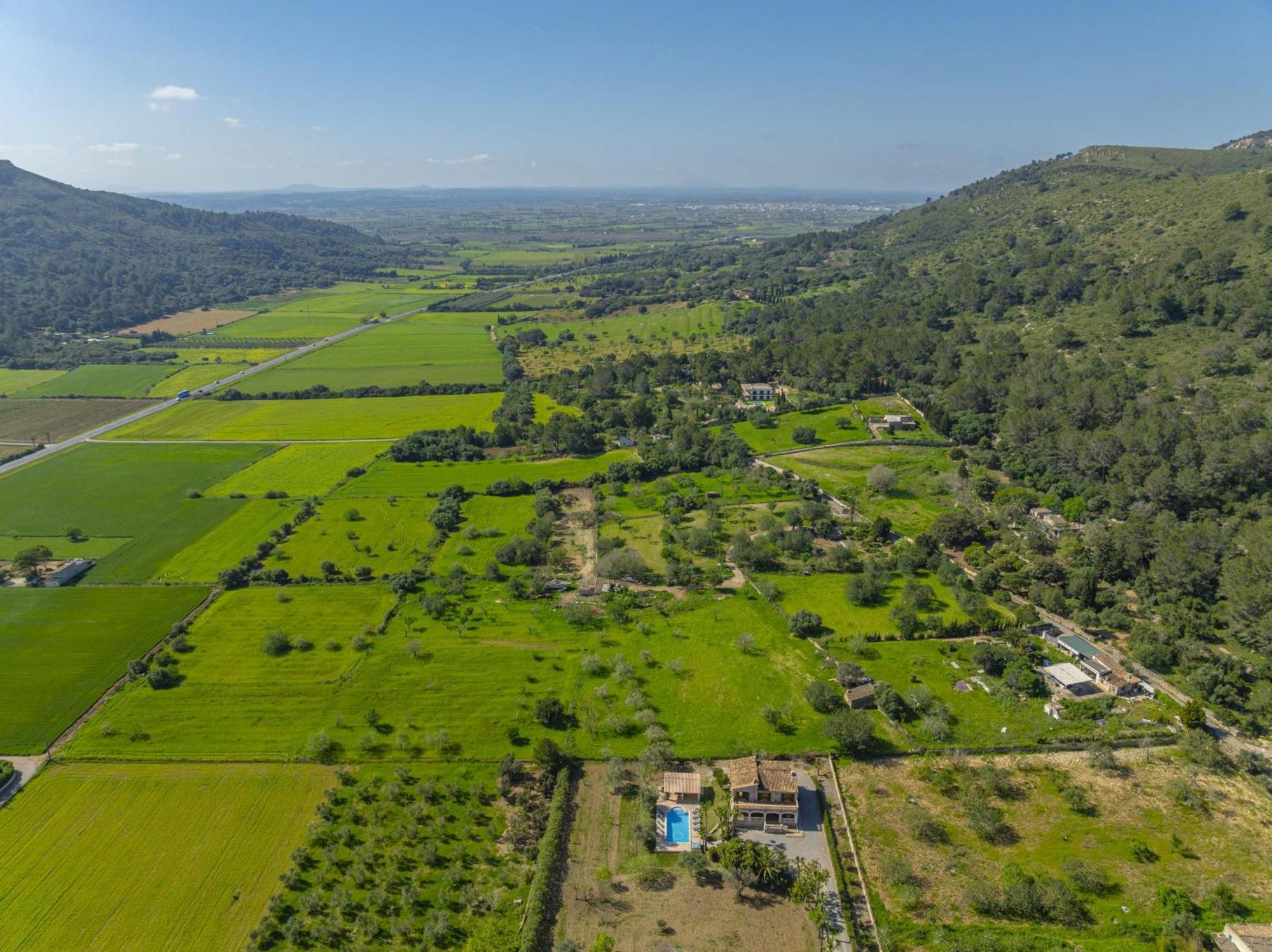 Xamanto * Alcúdia